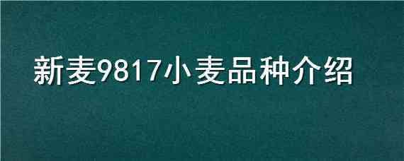 新麦9817小麦品种介绍（小麦品种916）