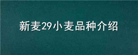 新麦29小麦品种介绍