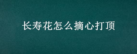 长寿花怎么摘心打顶（长寿花怎么掐顶摘心呢）