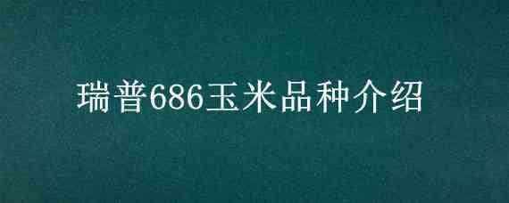 瑞普686玉米品种介绍（瑞普909玉米品种）