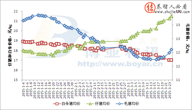 全国外三元生猪均价为12.11元/公斤（全国外三元生猪价格走势曲线）