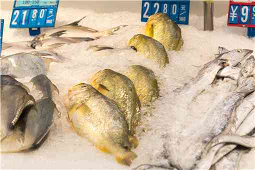 2022年现在大黄鱼价格多少钱一斤（小黄鱼多少钱一斤2021）