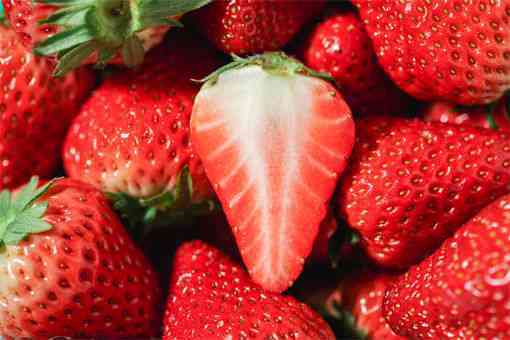2022年红颜草莓多少钱一斤