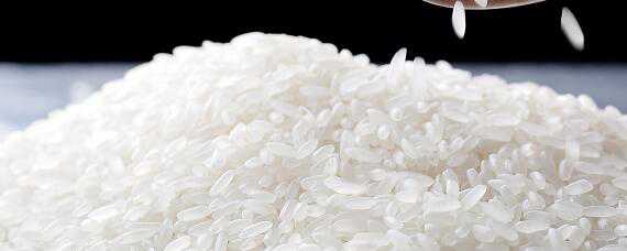 稻米品质指标有哪六个 稻米品质指标有哪六个方面