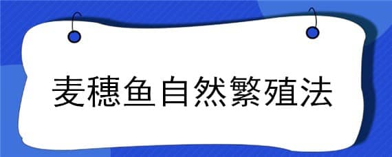 麦穗鱼自然繁殖法