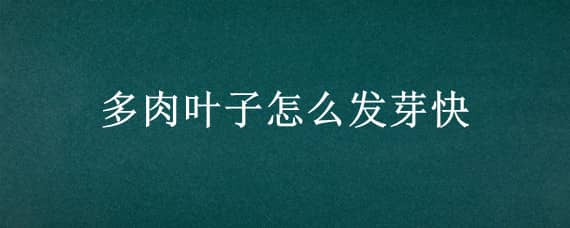 多肉叶子怎么发芽快