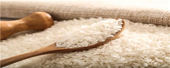 大米的种植过程是什么 大米的种植过程有哪些