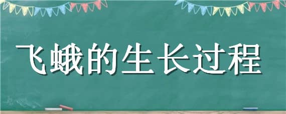 飞蛾的生长过程 飞蛾的生长过程视频