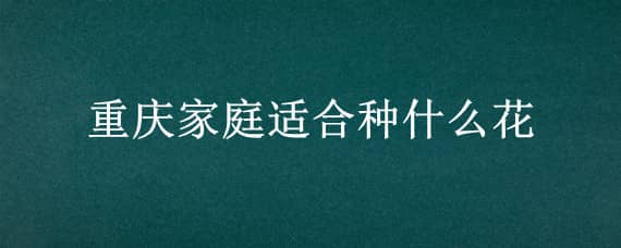 重庆家庭适合种什么花（重庆家庭适合种什么花卉）