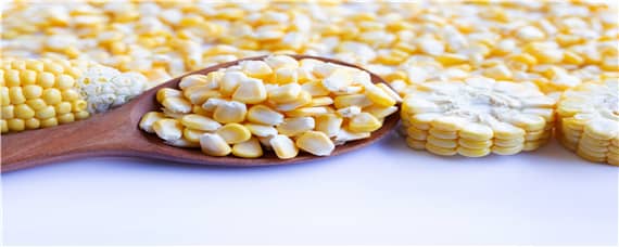抗锈病的玉米品种有哪些 抗锈病的玉米品种有哪些呢