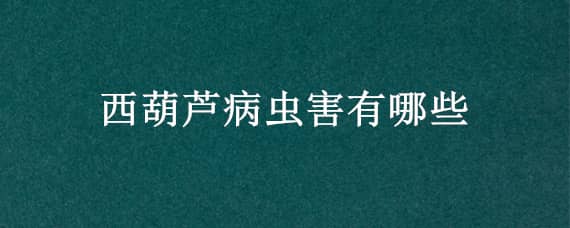 西葫芦病虫害有哪些