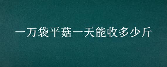 一万袋平菇一天能收多少斤 一万袋平菇出多少斤