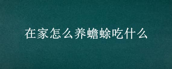 在家怎么养蟾蜍吃什么