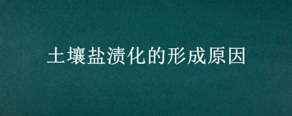 土壤盐渍化的形成原因