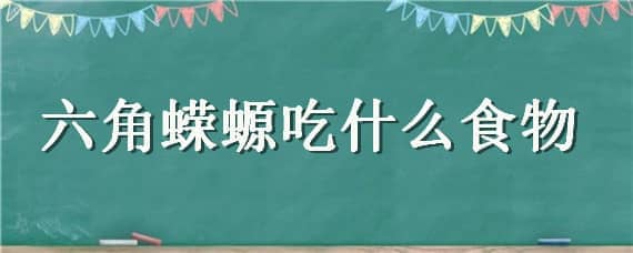 六角蝾螈吃什么食物 六角蝾螈吃什么食物怎么喂