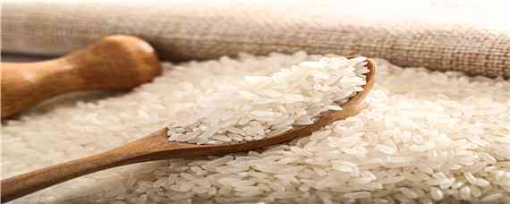 大米的生长过程 大米的生长过程育秧