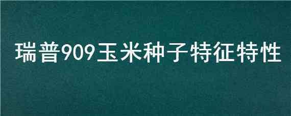 瑞普909玉米种子特征特性 玉米新品种瑞普909