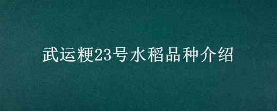 武运粳23号水稻品种介绍