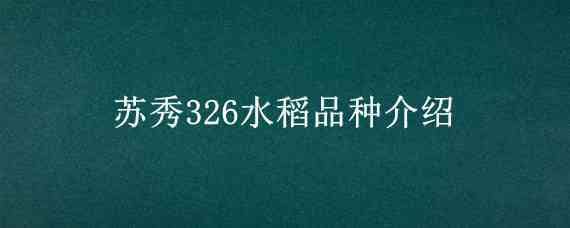 苏秀326水稻品种介绍 苏秀852水稻特性