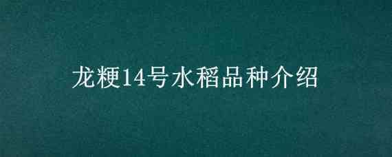 龙粳14号水稻品种介绍 水稻龙粳1424