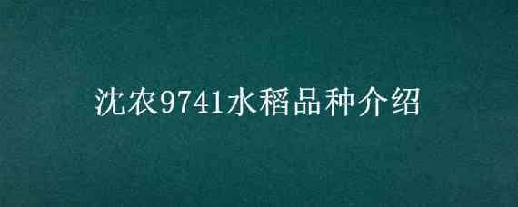 沈农9741水稻品种介绍