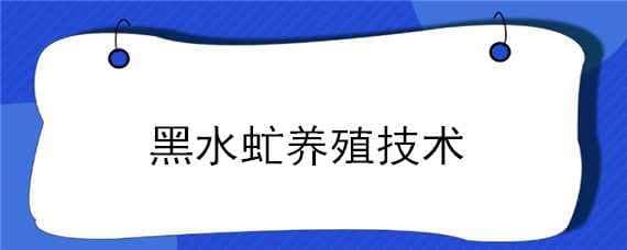 黑水虻养殖技术（黑水虻养殖技术全过程）