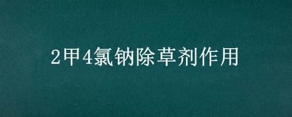 2甲4氯钠除草剂作用