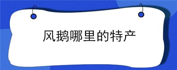 风鹅哪里的特产（哪里的风鹅最好吃）