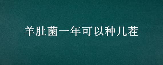 羊肚菌一年可以种几茬（羊肚菌为什么只能种两年）