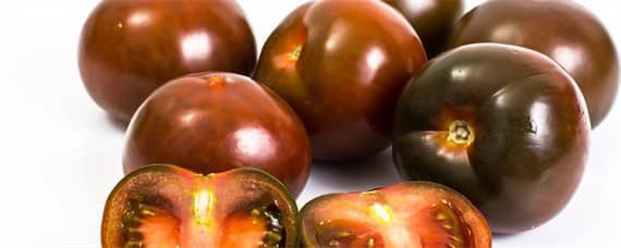 黑番茄的种植条件