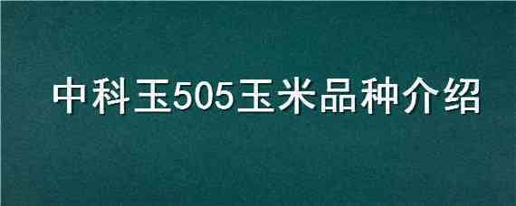 中科玉505玉米品种介绍（中科505玉米种子怎么样）