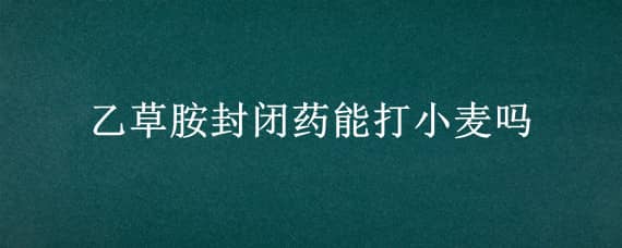 乙草胺封闭药能打小麦吗 小麦封闭药噻磺乙草胺行吗