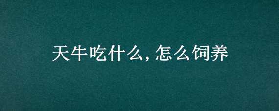 天牛吃什么,怎么饲养（天牛吃什么,怎么饲养视频）