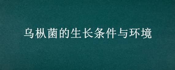 乌枞菌的生长条件与环境