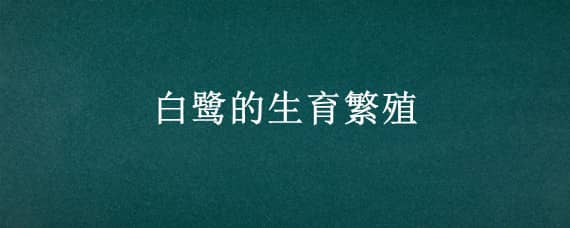 白鹭的生育繁殖（白鹭的繁殖资料）