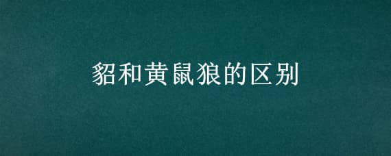 貂和黄鼠狼的区别 貂和黄鼠狼的区别是什么