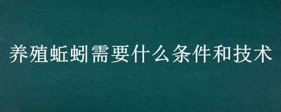 养殖蚯蚓需要什么条件和技术 养殖蚯蚓的条件