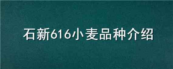 石新616小麦品种介绍 石新733小麦品种的特点