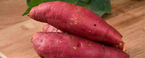 红薯种植方法和技术 红薯种植方法和技术与管理