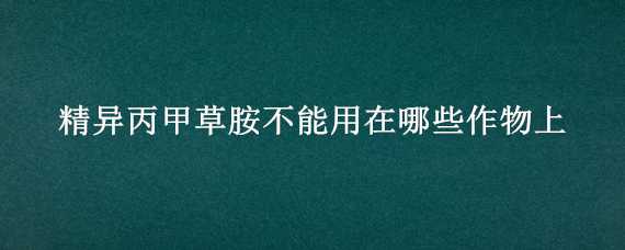 精异丙甲草胺不能用在哪些作物上（精异丙甲草胺不能用在哪些作物上呢）