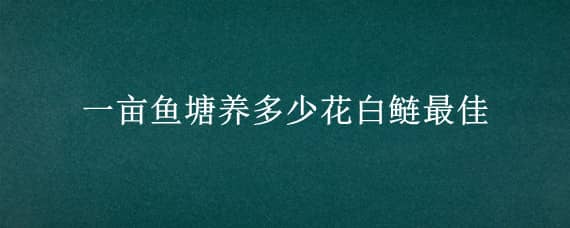 一亩鱼塘养多少花白鲢最佳（一亩鱼塘放多少白鲢）