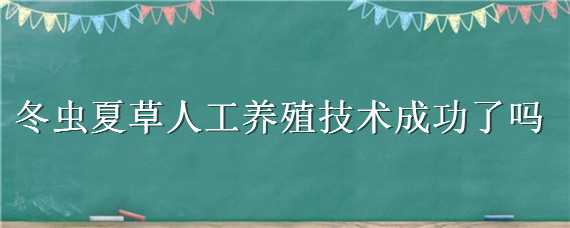 冬虫夏草人工养殖技术成功了吗