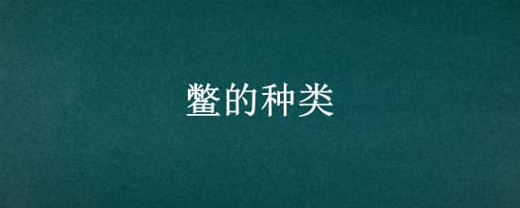 鳖的种类 观赏鳖的种类