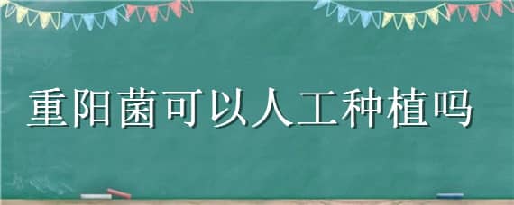 重阳菌可以人工种植吗 重阳菌生长环境