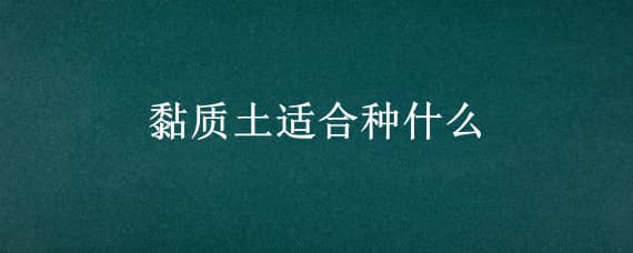 黏质土适合种什么（黏质土适合种什么作物）