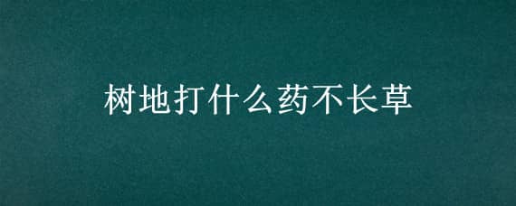 树地打什么药不长草（种什么树地上不长草）