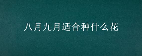 八月九月适合种什么花 八月九月适合种什么花草树木