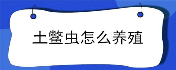 土鳖虫怎么养殖