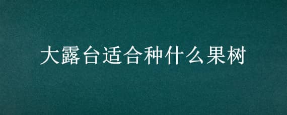 大露台适合种什么果树