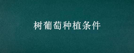 树葡萄种植条件（树葡萄生长条件）